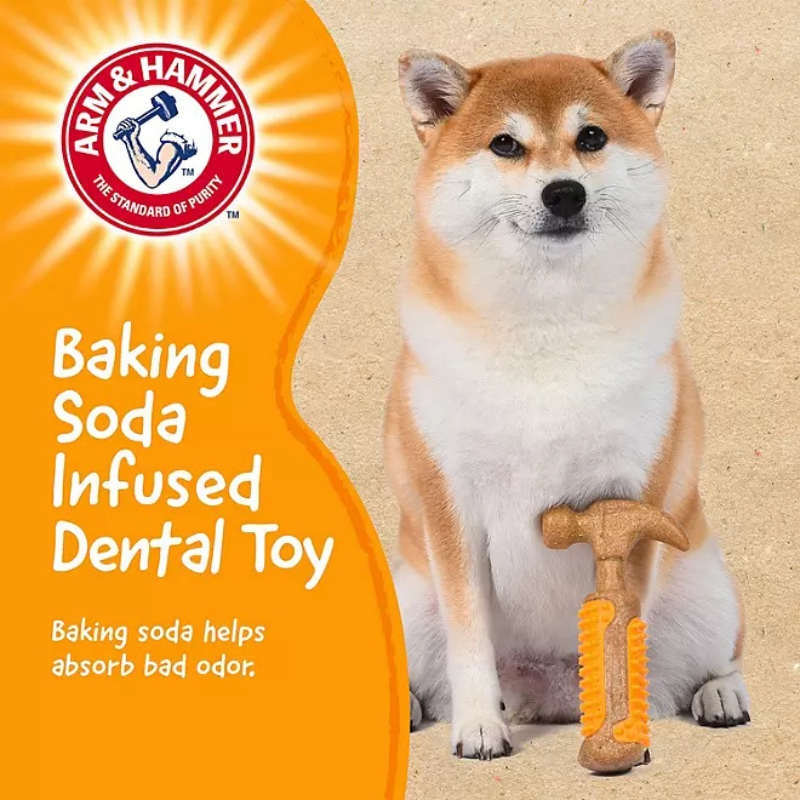 Arm & Hammer Dental Dog Toys, Variety Pack, 3 ct.