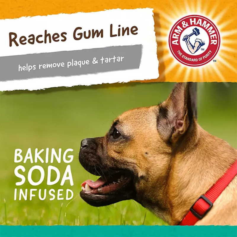 Arm & Hammer Dental Dog Toys, Variety Pack, 3 ct.