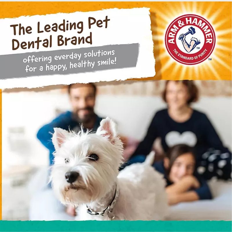 Arm & Hammer Dental Dog Toys, Variety Pack, 3 ct.