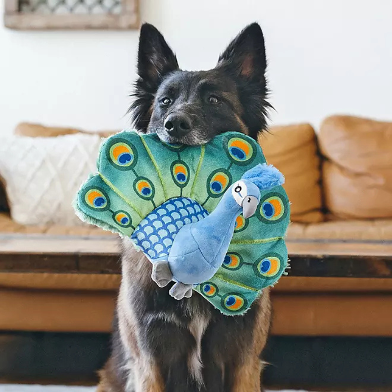 P.L.A.Y. Paradise Paws Dog Toy Bundle, 3 pk.