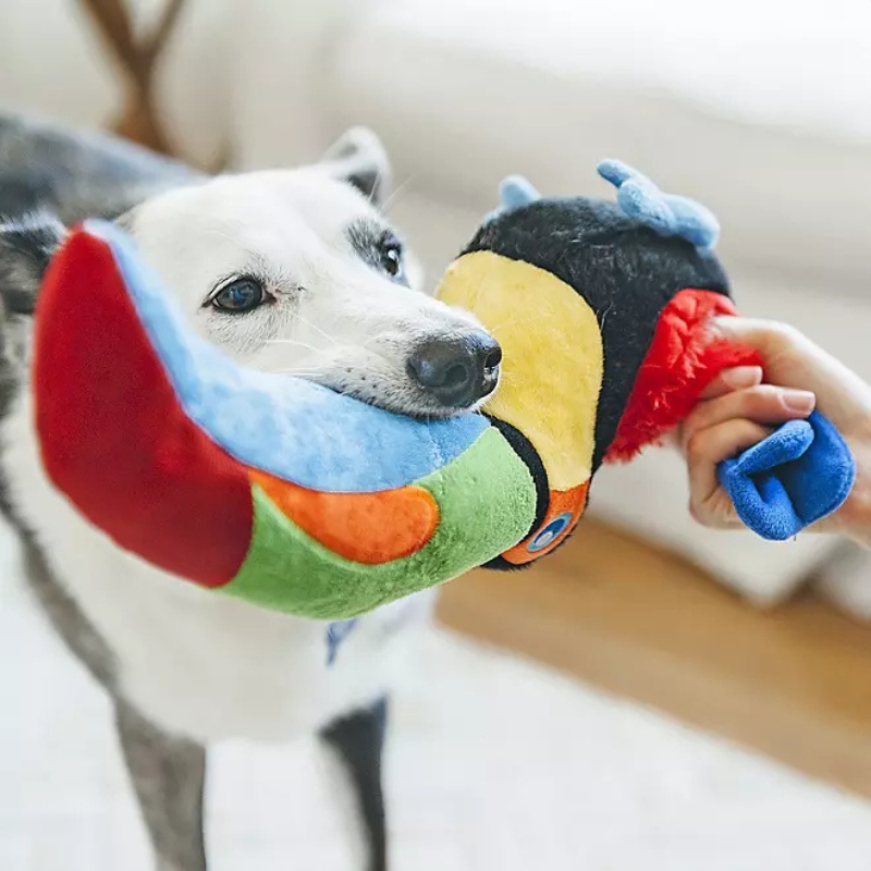 P.L.A.Y. Paradise Paws Dog Toy Bundle, 3 pk.