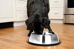 Stainless Steel Non-Skid Pet Bowl for Dog or Cat