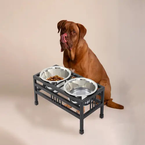 Elevated Rectangular Pet Double Diner with Stainless Steel Bowls for Dogs and Cats