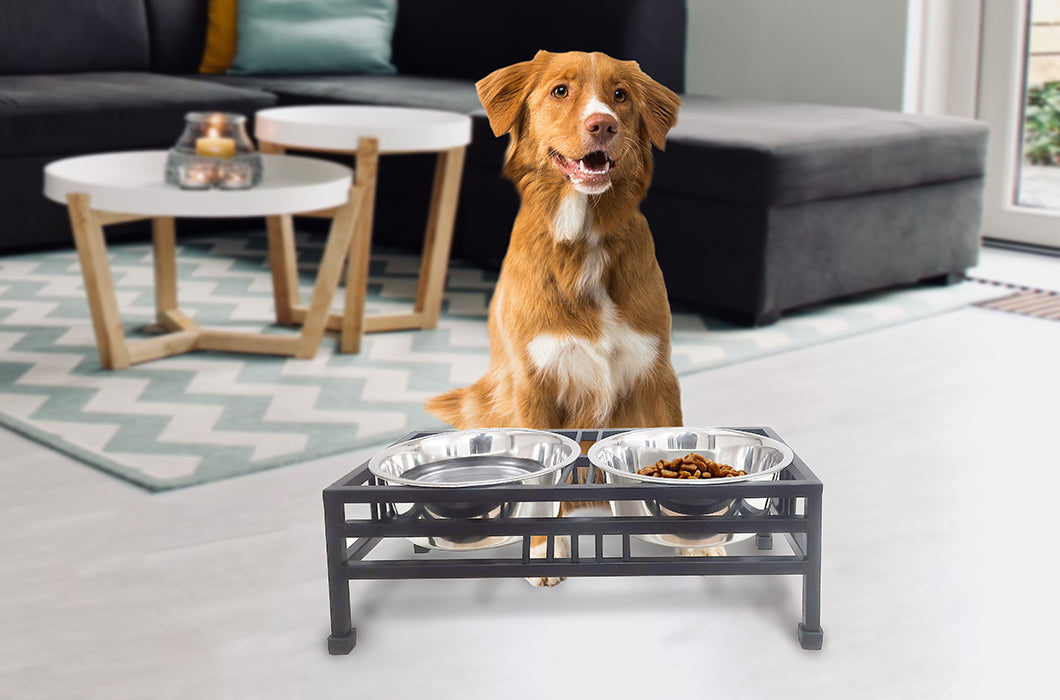 Elevated Rectangular Pet Double Diner with Stainless Steel Bowls for Dogs and Cats