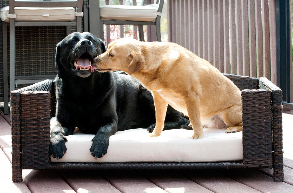 Rattan Rectangular Pet Sofa