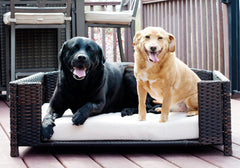 Rattan Rectangular Pet Sofa