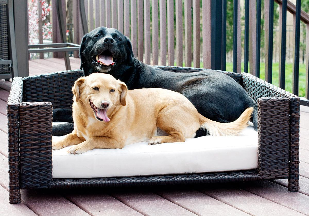 Rattan Rectangular Pet Sofa