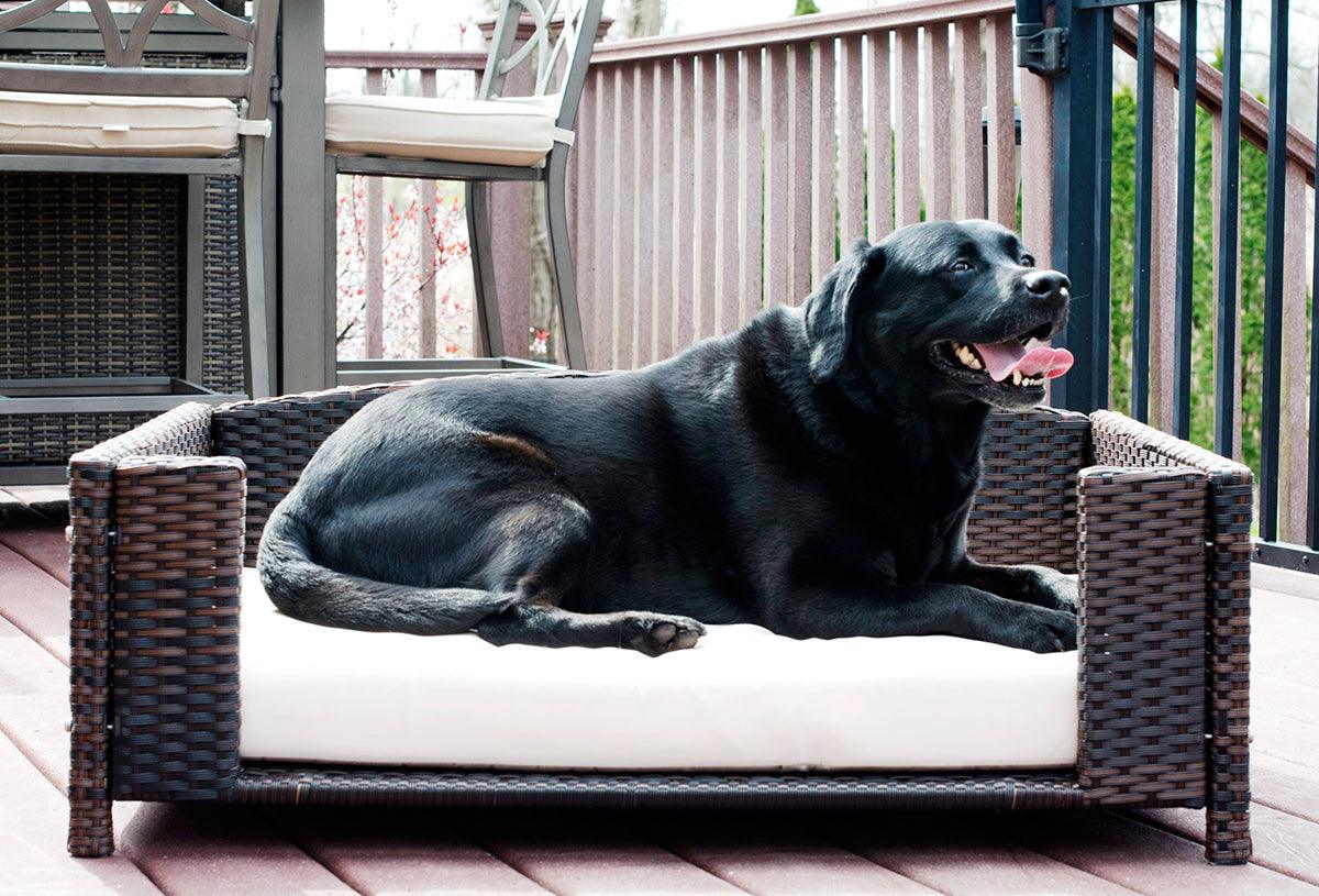 Rattan Rectangular Pet Sofa