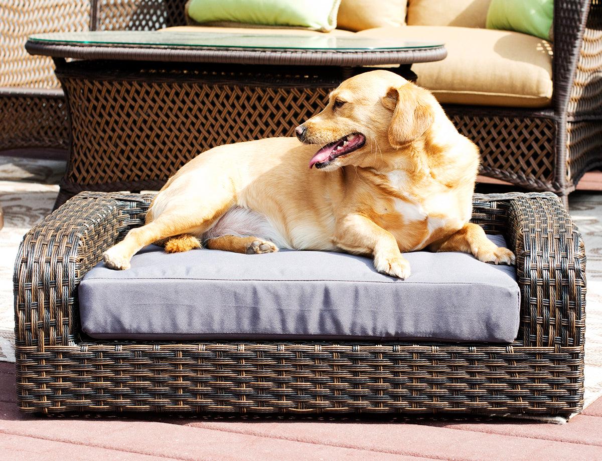 Rattan Pet Sofa