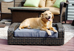 Rattan Pet Sofa