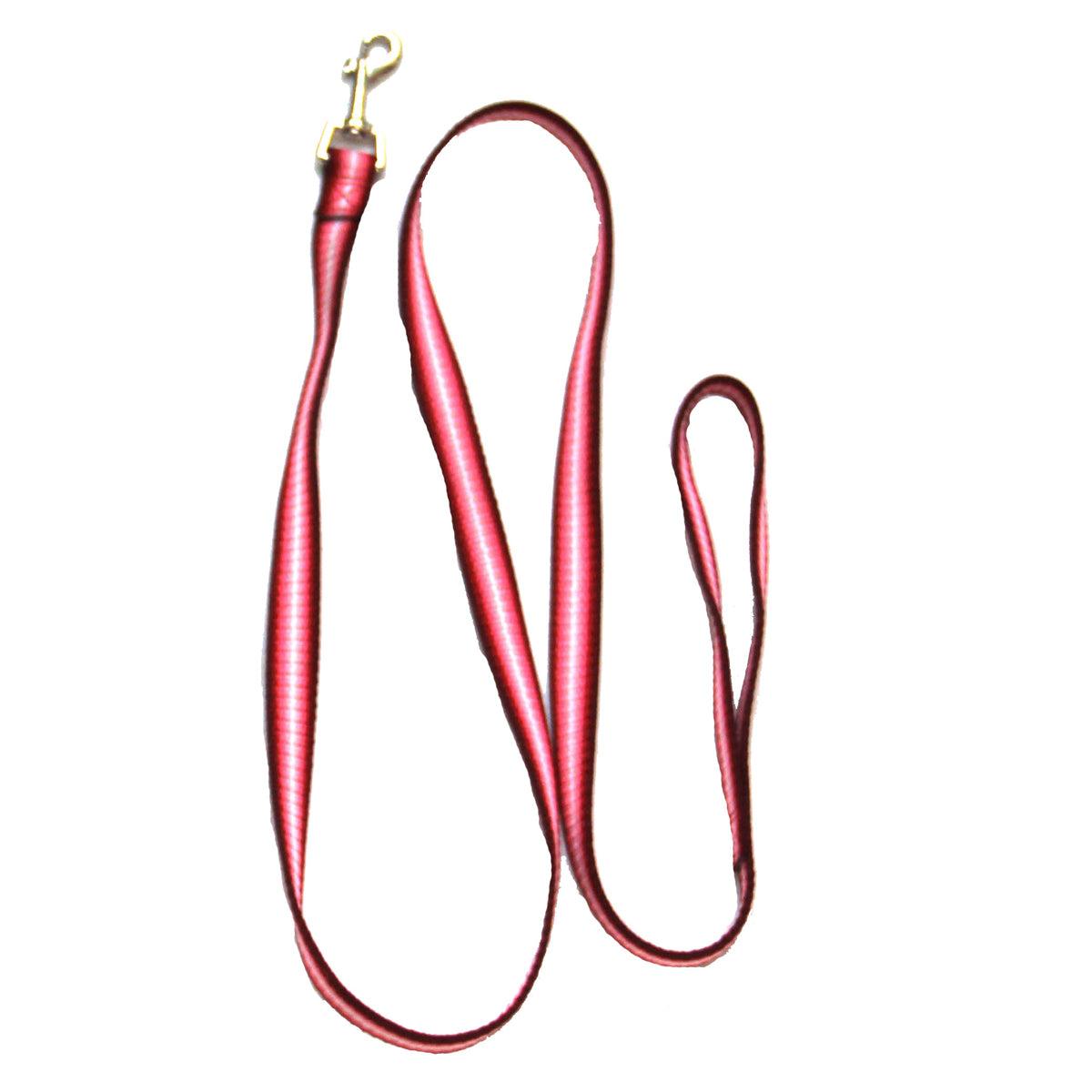 Pet Dog or Cat Leash - Rainbow