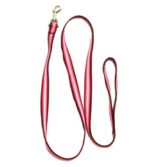 Pet Dog or Cat Leash - Rainbow