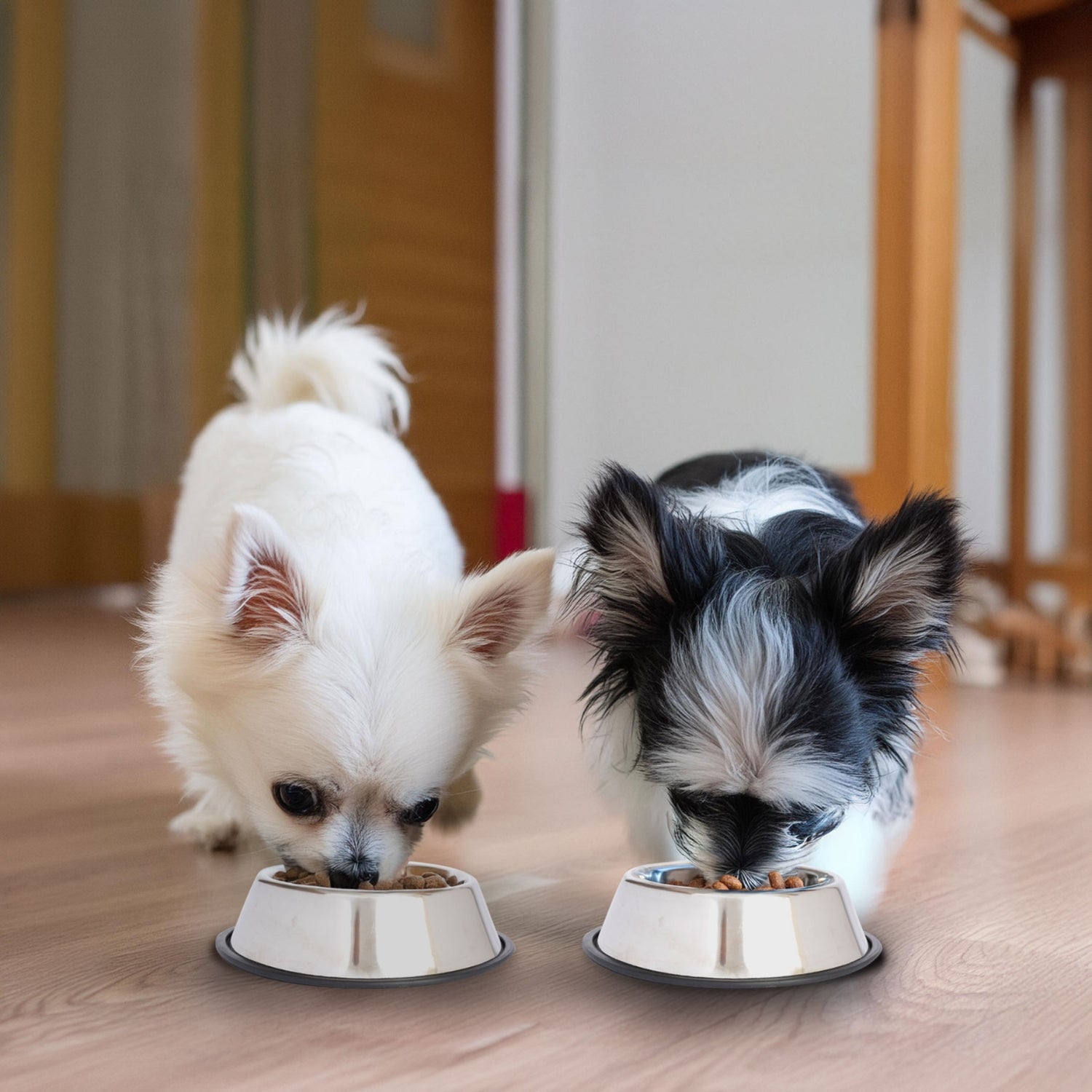 Stainless Steel Non-Skid Pet Bowl for Dog or Cat