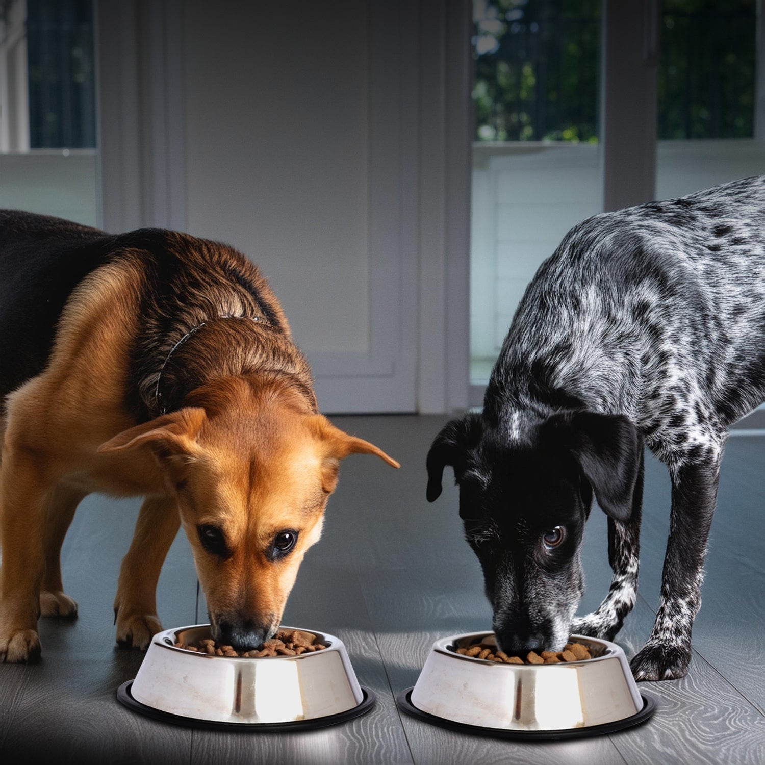 Stainless Steel Non-Skid Pet Bowl for Dog or Cat