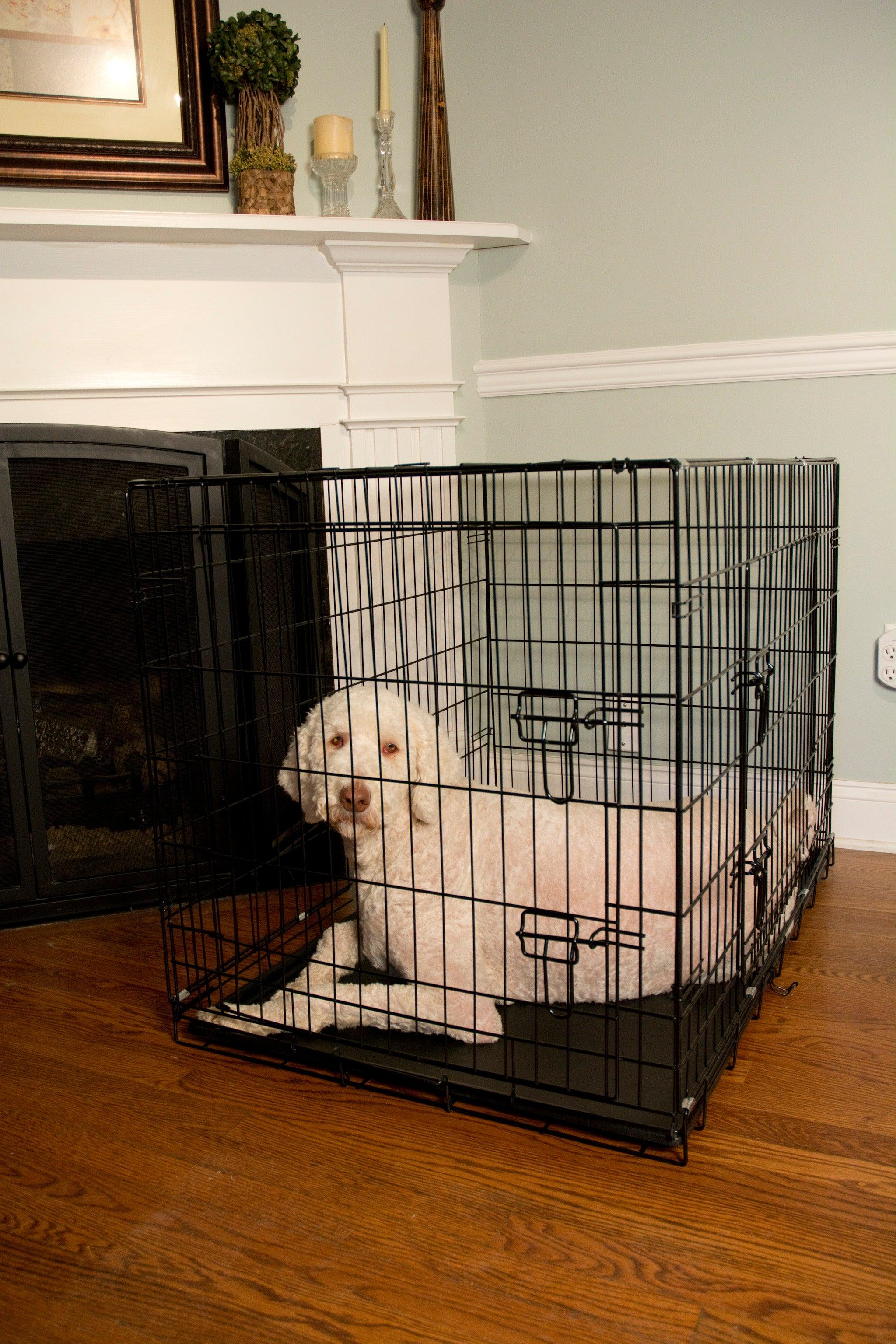 Foldable Double Door Pet Training Crate with Divider