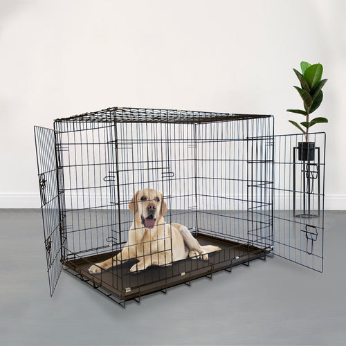 Foldable Double Door Pet Training Crate with Divider