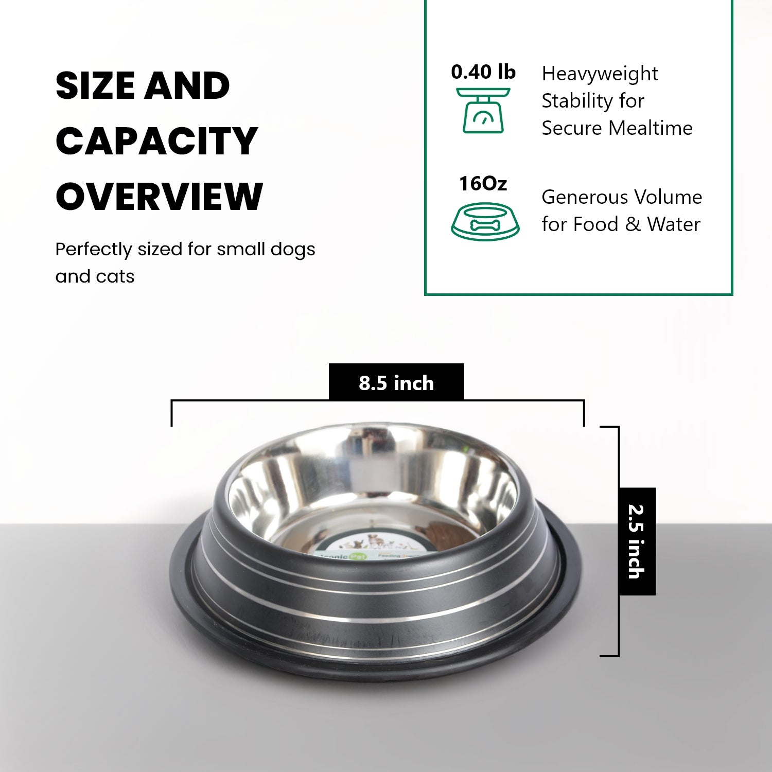 Color Splash Stripe Non-Skid Pet Bowl