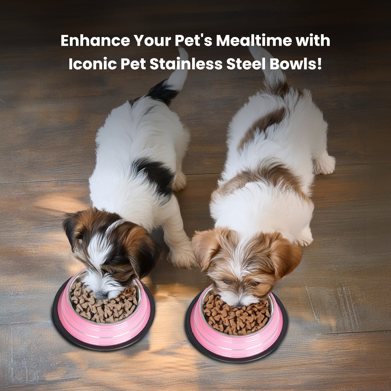 Color Splash Stripe Non-Skid Pet Bowl