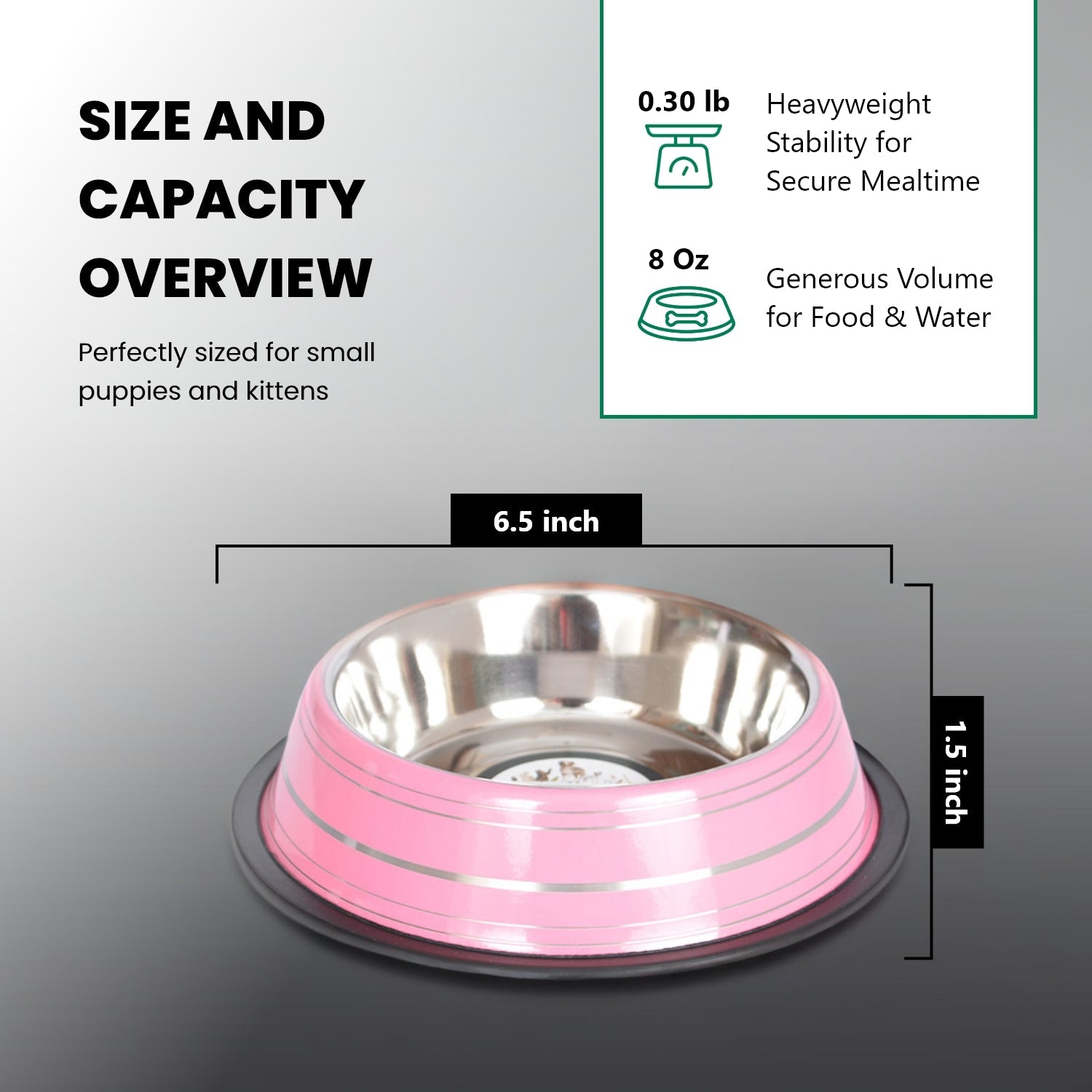 Color Splash Stripe Non-Skid Pet Bowl