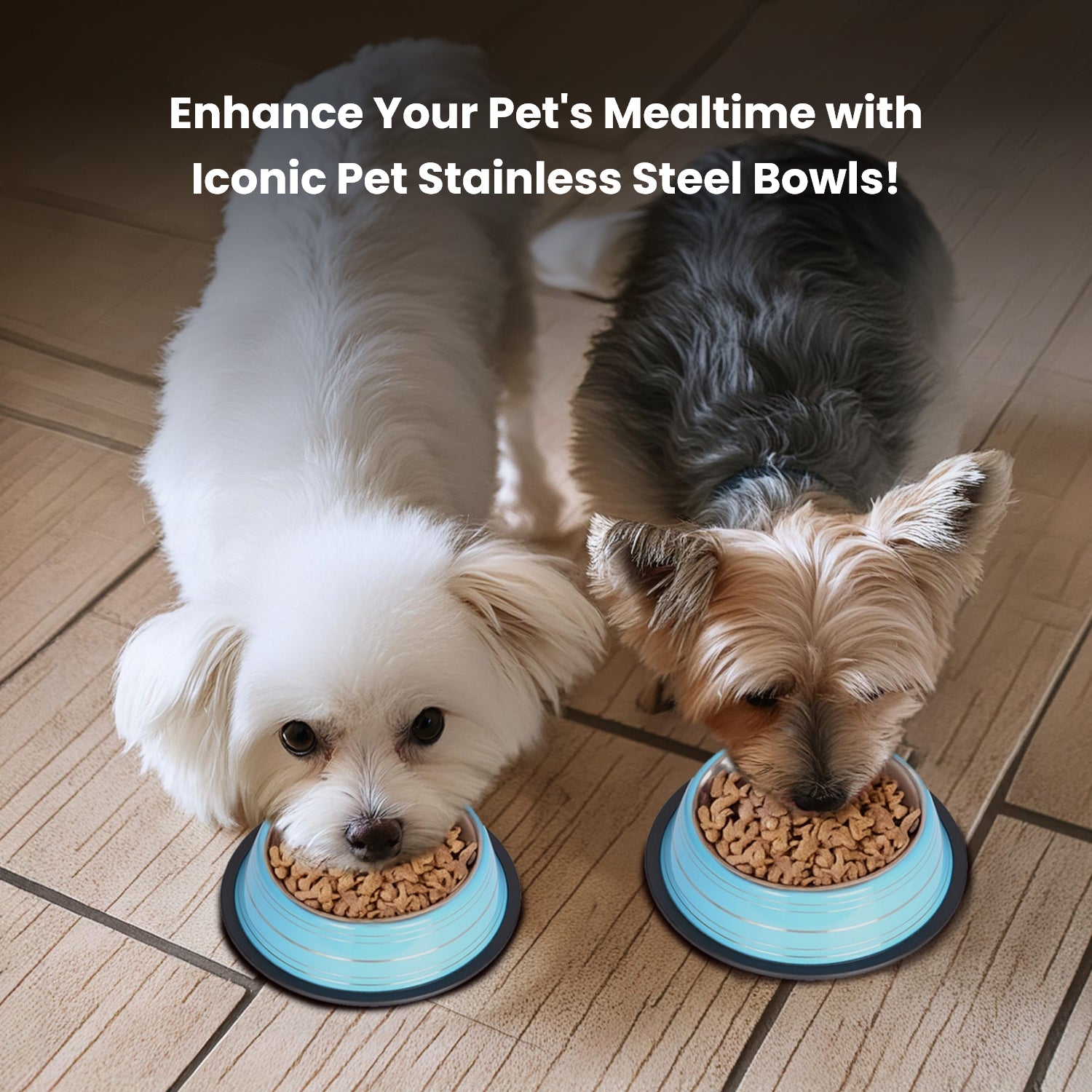 Color Splash Stripe Non-Skid Pet Bowl