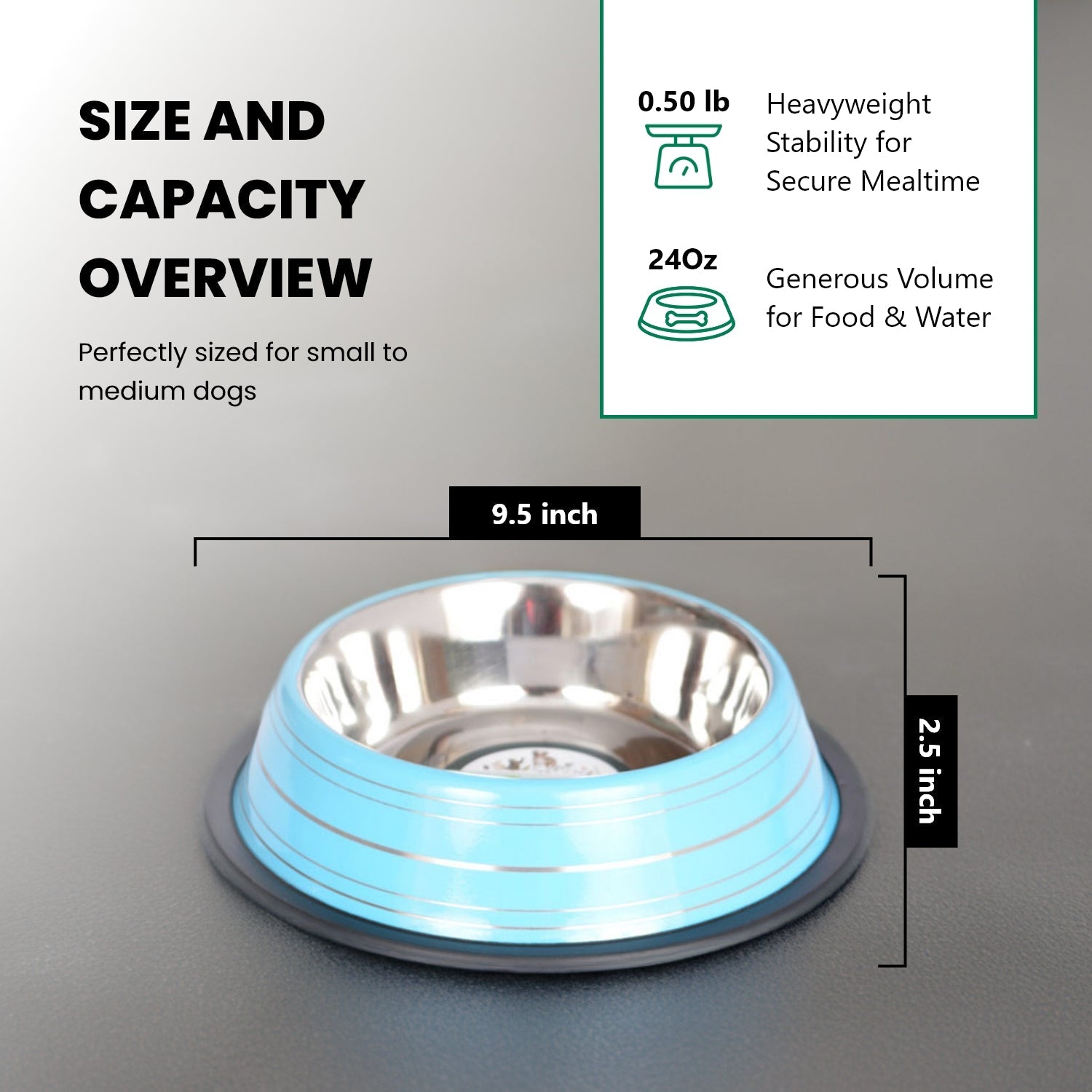 Color Splash Stripe Non-Skid Pet Bowl