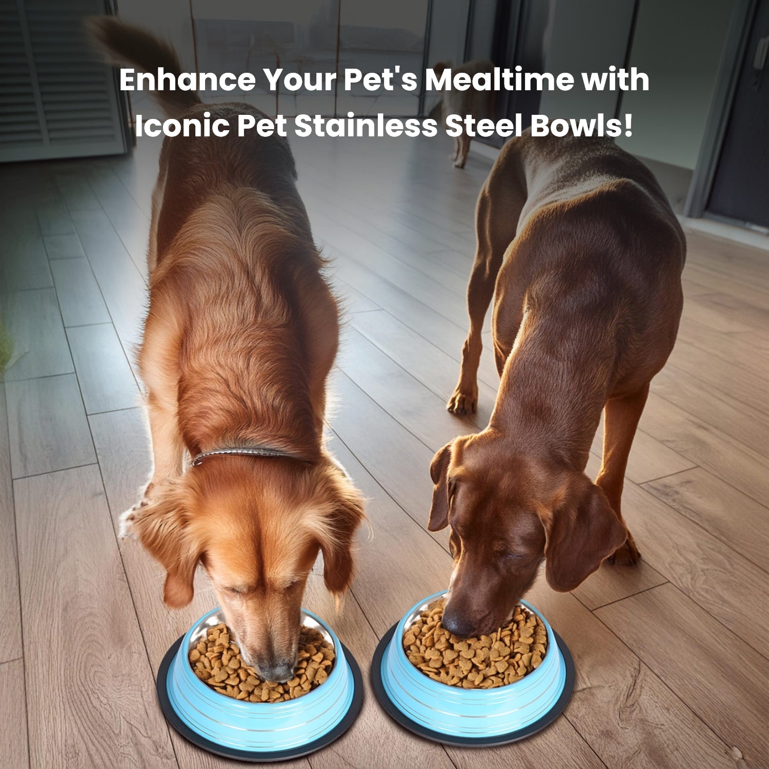 Color Splash Stripe Non-Skid Pet Bowl