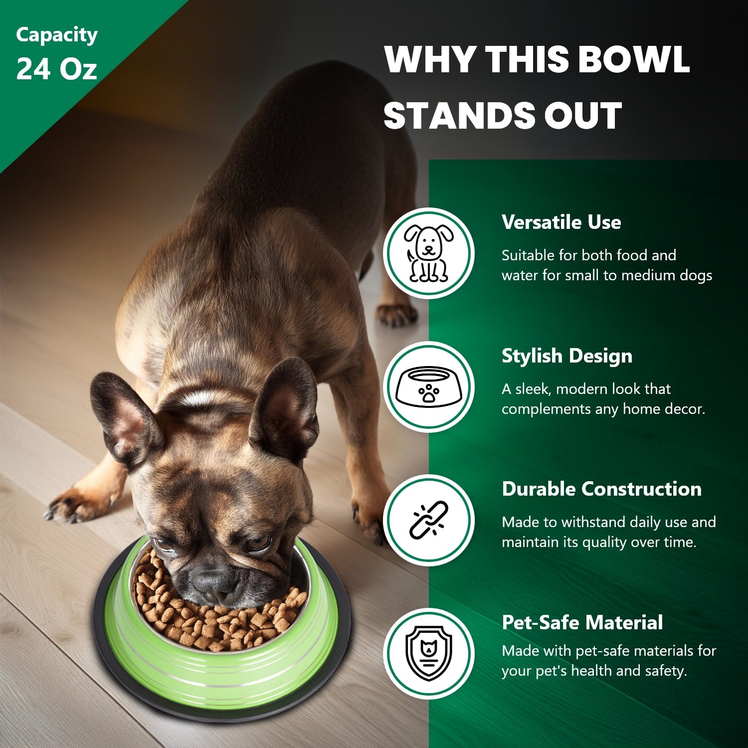 Color Splash Stripe Non-Skid Pet Bowl