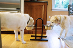 Adjustable Stainless Steel Pet Double Diner for Dog - U Design