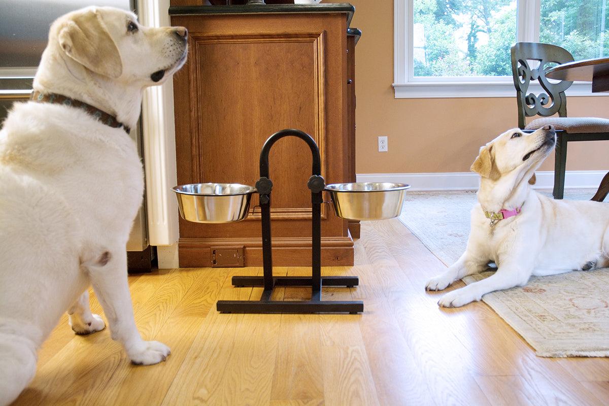 Adjustable Stainless Steel Pet Double Diner for Dog - U Design