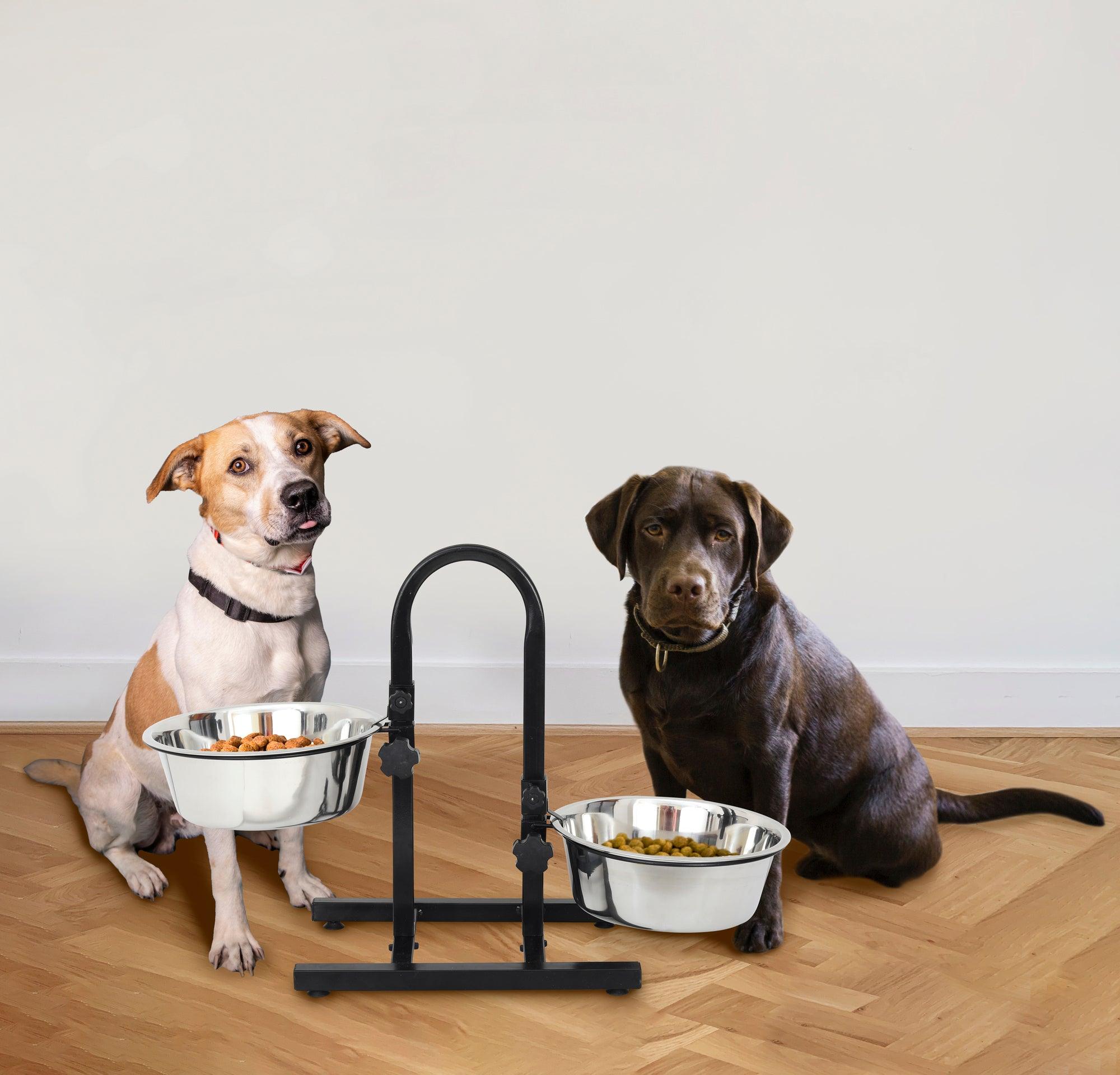 Adjustable Stainless Steel Pet Double Diner for Dog - U Design