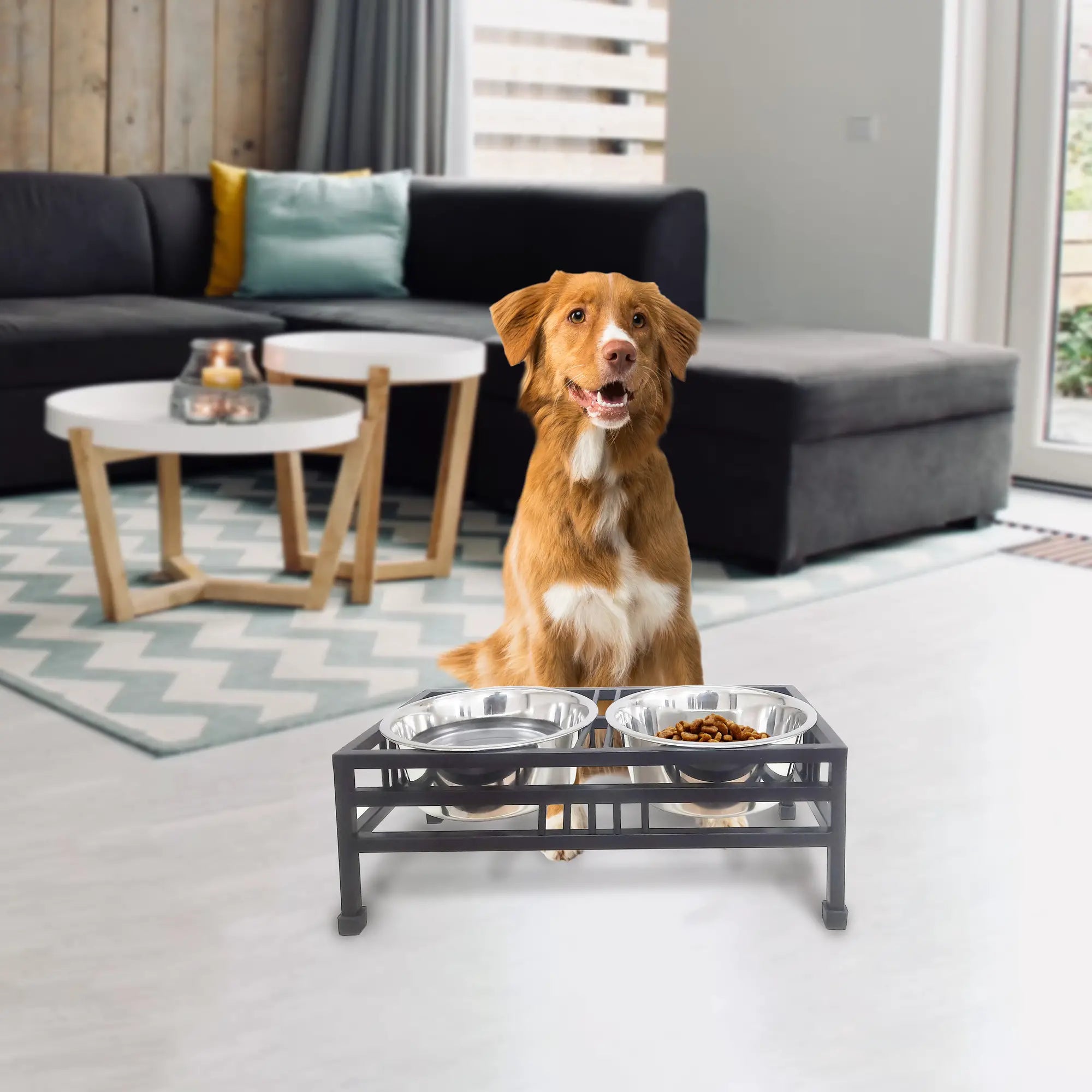 Elevated Rectangular Pet Double Diner with Stainless Steel Bowls for Dogs and Cats