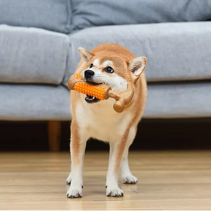 Arm & Hammer Dental Dog Toys, Variety Pack, 3 ct.